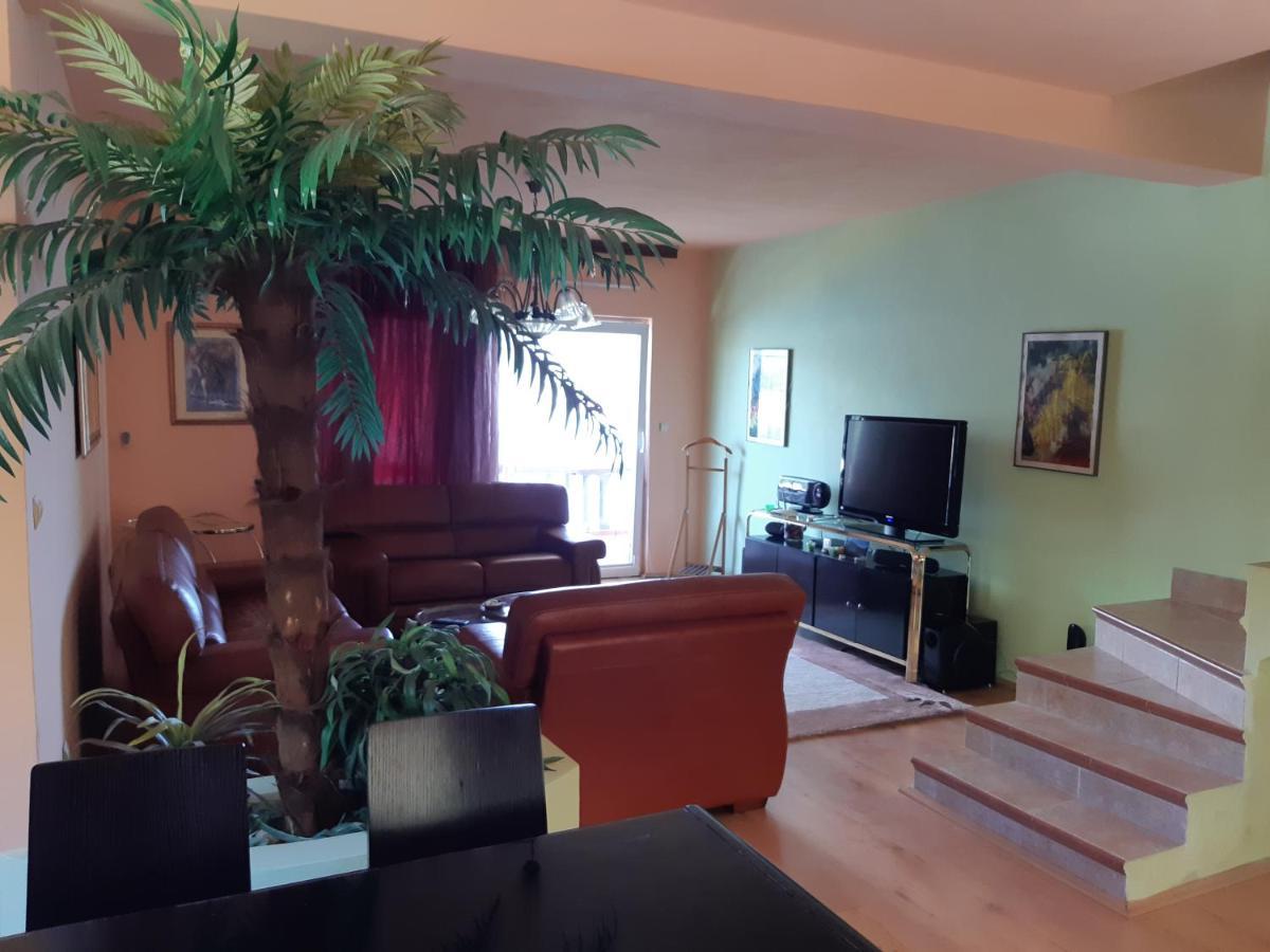 Villa Garden Apartments 헤르섹 외부 사진