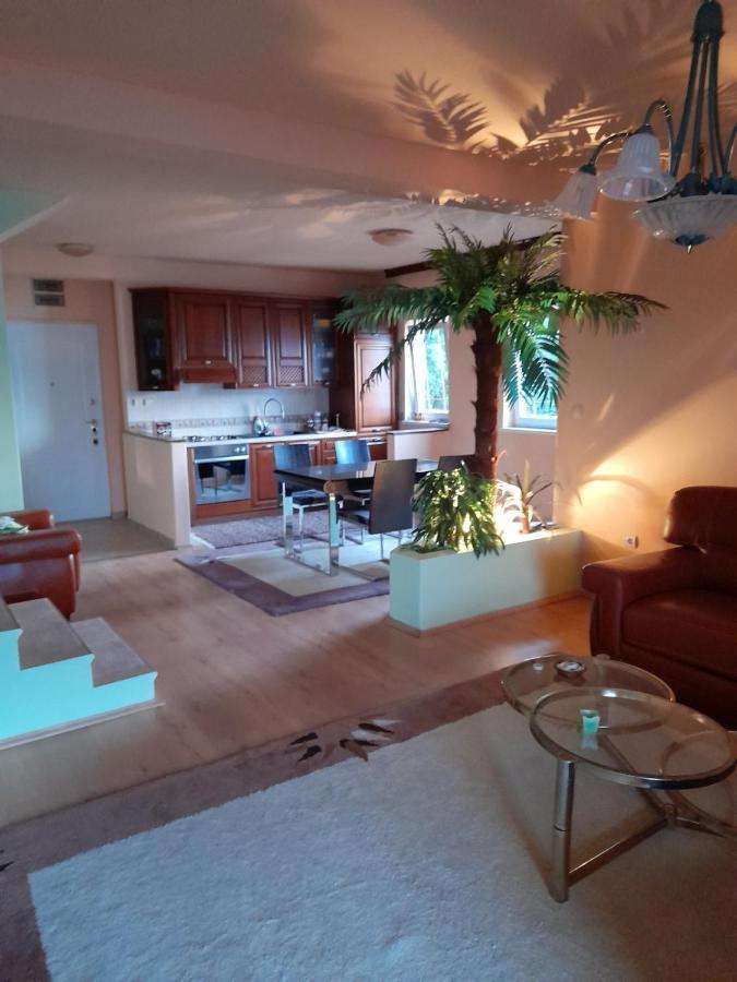 Villa Garden Apartments 헤르섹 외부 사진